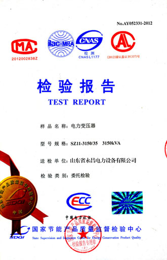 潮州电力变压器检测报告